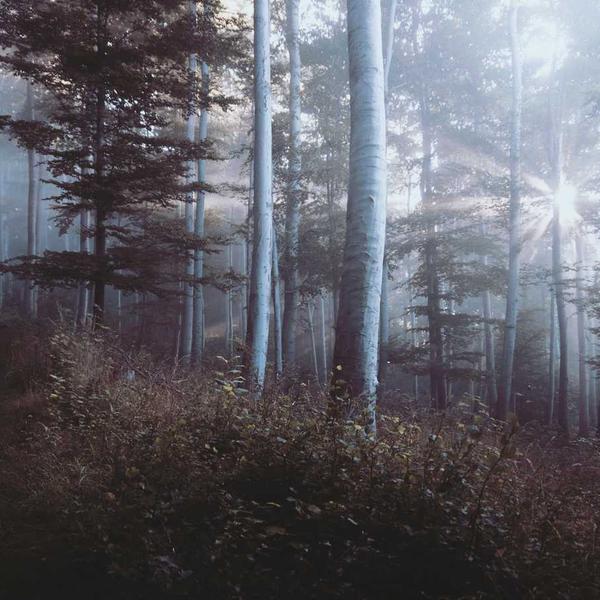 Lewmar V700 Ankerlier