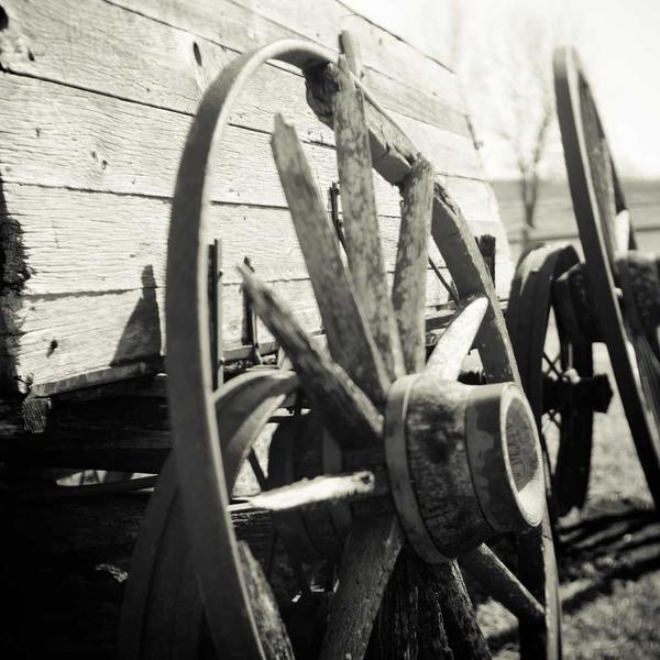 Philips Hue Lily Buitenspot