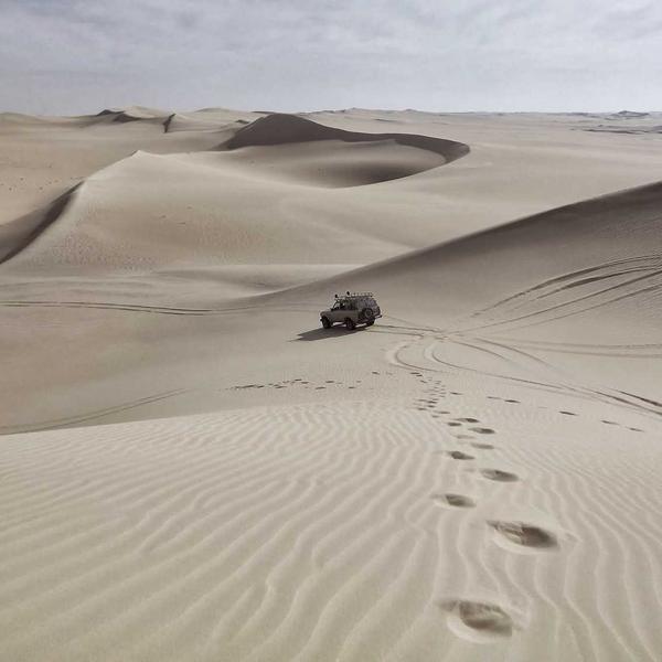 Hozelock Auto Reel 30m Slangbox