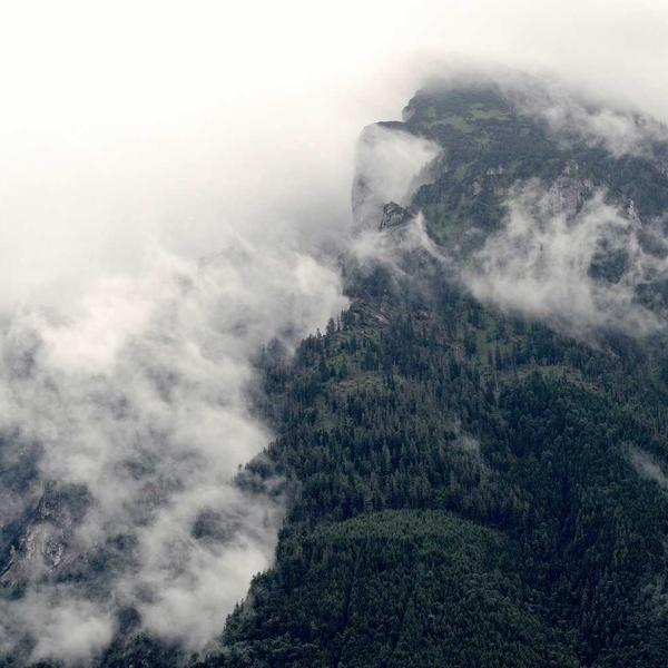 Weber Spirit II E-310 Gasbarbecue