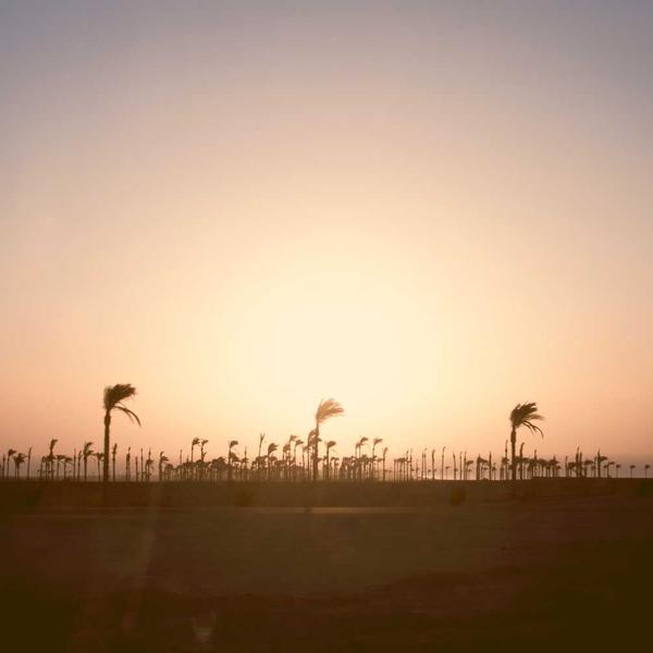 Vango Nitestar 250S Slaapzak