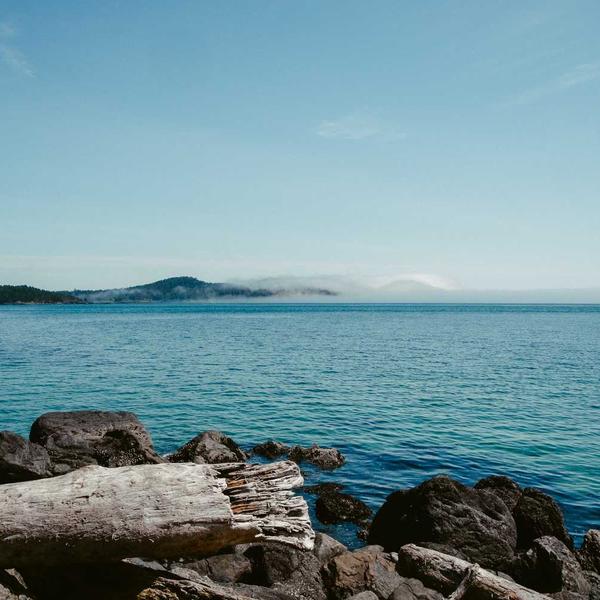 Tacktick Wireless Windmeter T101