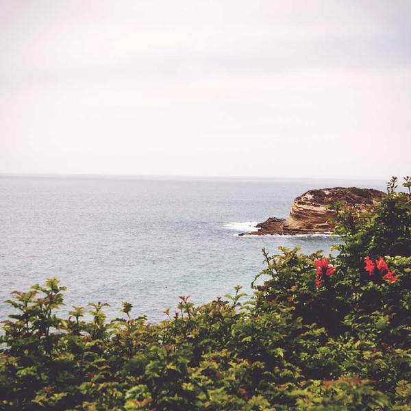 Saro Professionele Vaatwasser